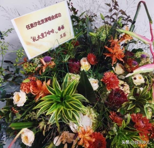 王菲送任素汐花篮


任素汐北京演唱会，王菲送花篮祝她演出成功！送这么大一束，王