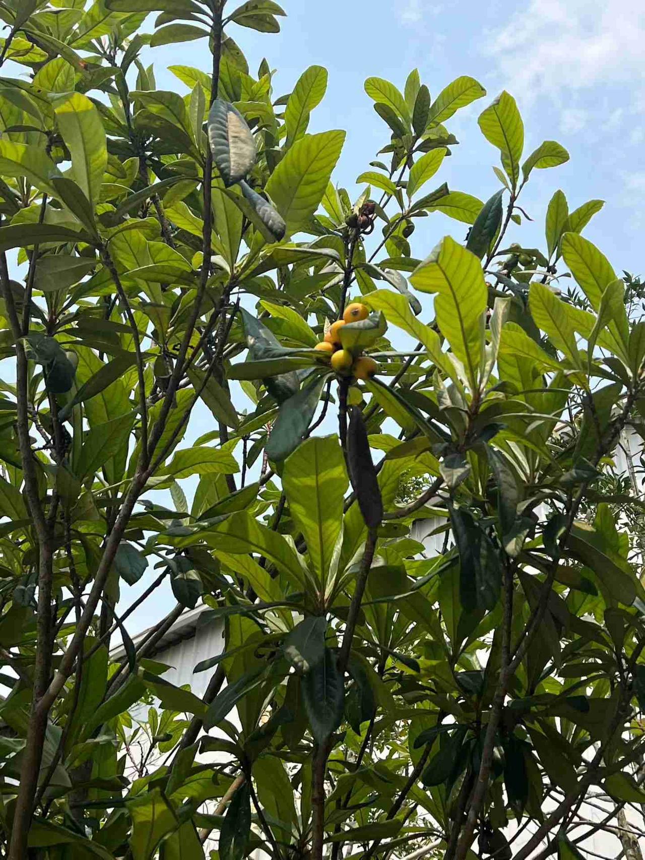 我的今日状态：💰期待暴富
我这里的天气：☀️晴天