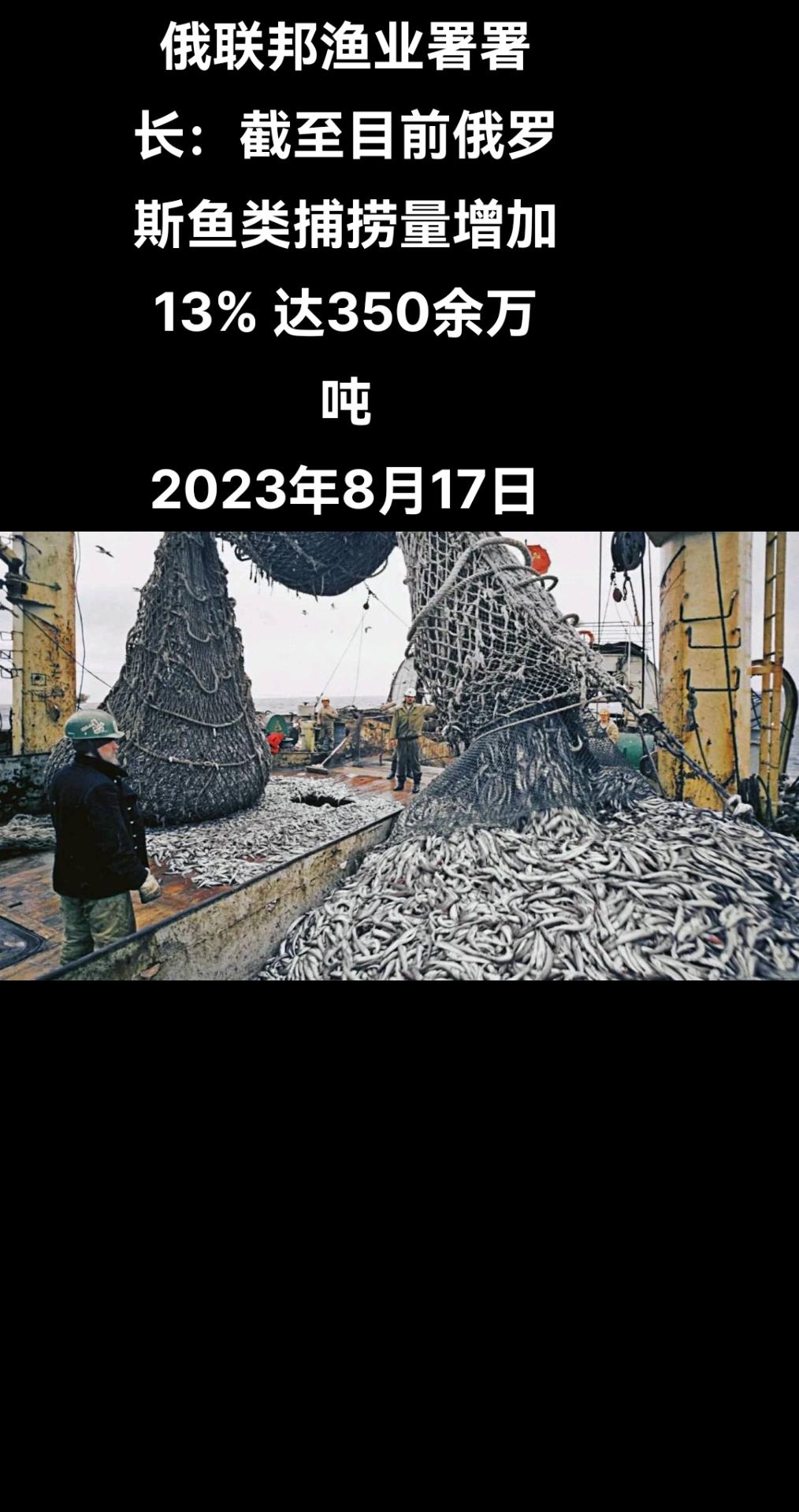 俄罗斯卫星通讯社莫斯科电 俄罗斯联邦渔业署署长舍斯塔科夫在普京总统主持召开的内阁