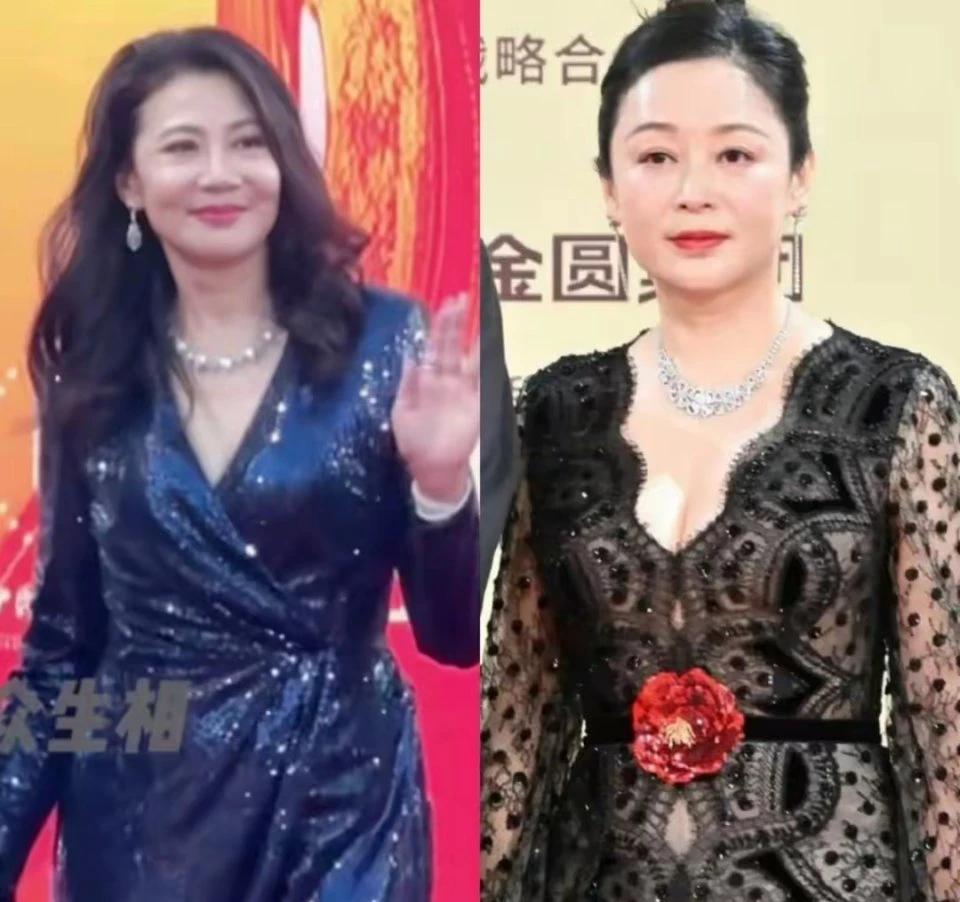瞧这骨相和皮相的差别，60岁的陈炜看起来比55岁的陈红还要惊艳！