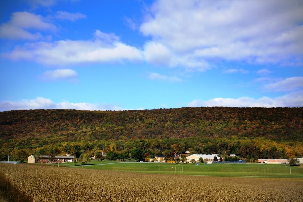 我们常说，人和人的差距，很多时候是信息的差距。顶尖的学术论文、最新的科技资讯、全