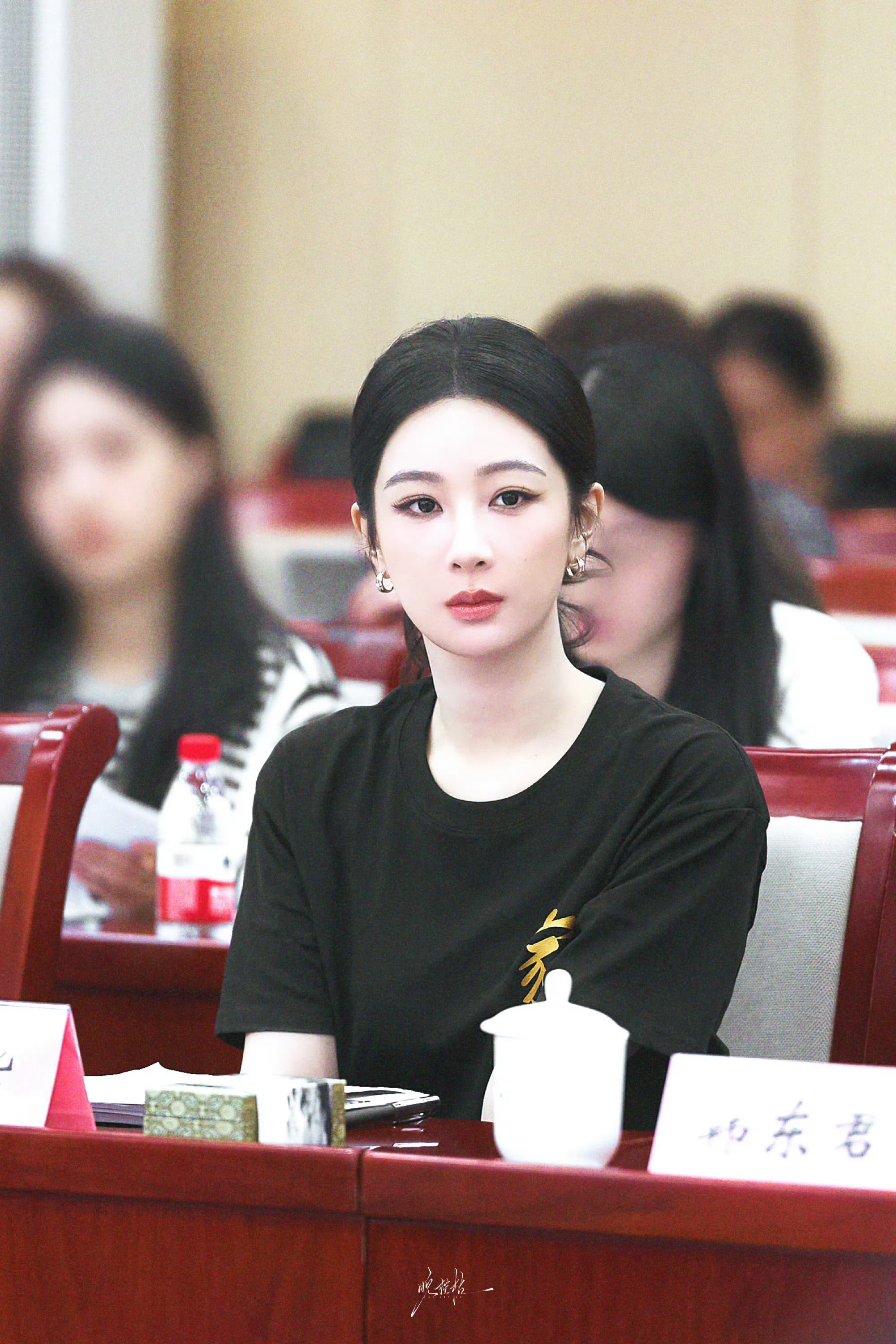 杨紫家业剧组徽州采风住半年家业创作座谈会 在历史的长河中，制墨技艺如璀璨星辰，熠