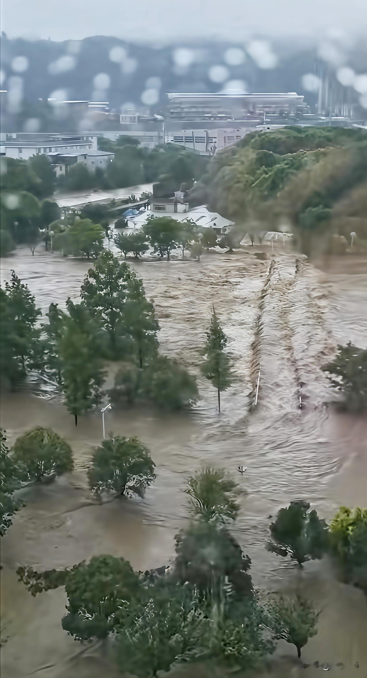 转发一下，贵州的都匀因暴雨被淹，百年一遇的大雨，城里有较深积水，需要帮助救援。