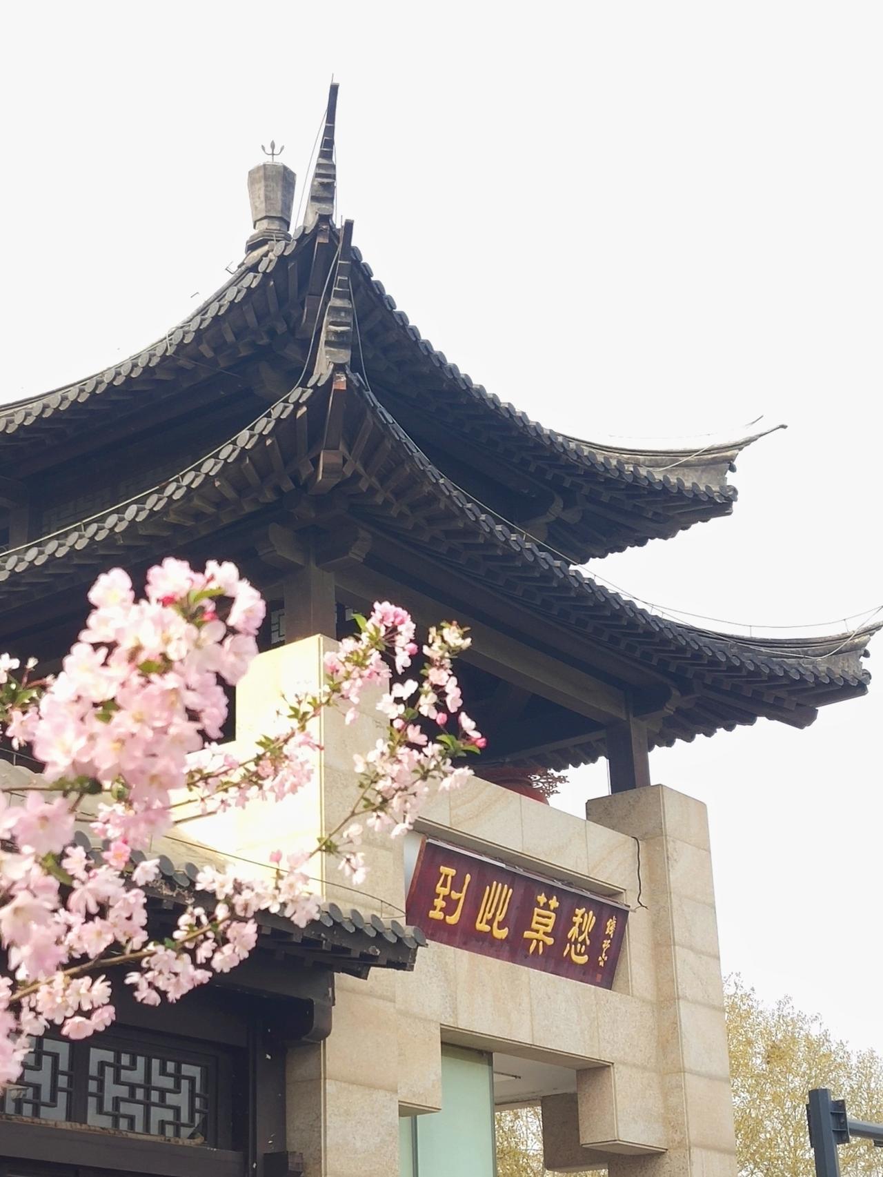 南京人赏春花，莫愁湖的海棠花是必赏的。有人说，南京的春，一半在莫愁湖的海棠枝上，