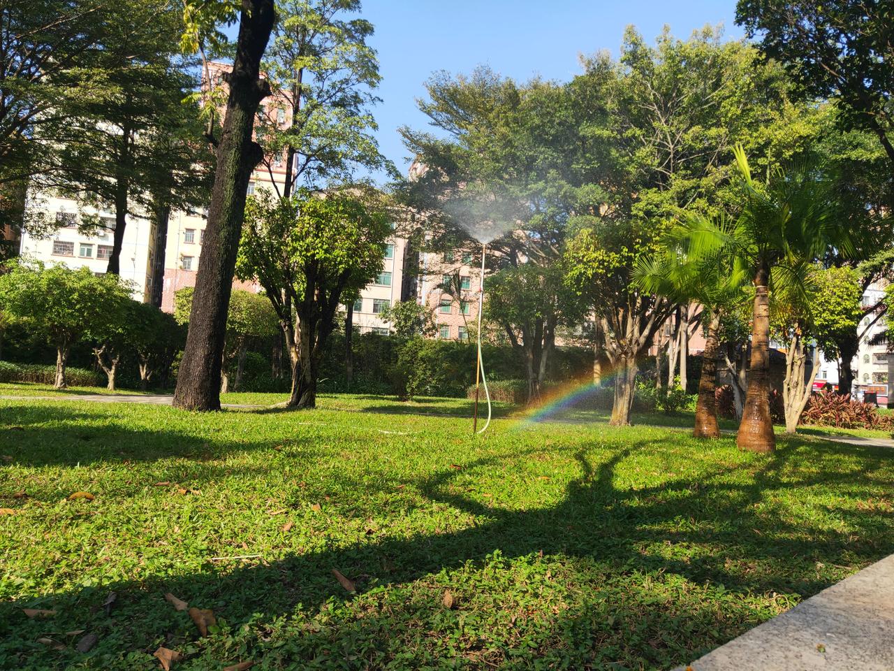 结不结婚都会痛苦。巷子里的猫，没有归属却很自由。围墙里的狗，有归属终身都得低头。