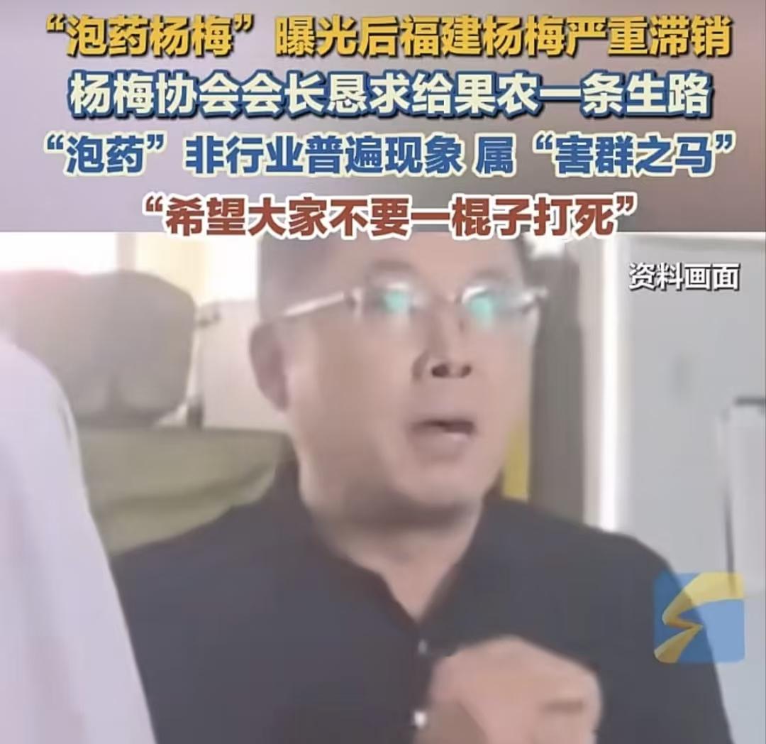 福建杨梅会长不是哭诉说，只有少数商户给杨梅泡药，其他杨梅都没打过药，但也受影响滞