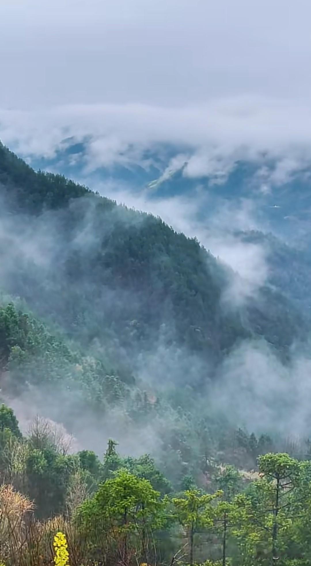 七律·山瀑
谁劈云崖泻玉虹，
雷轰万壑走长风。
跳珠乱溅寒潭雨，
素练高悬绝壁雄