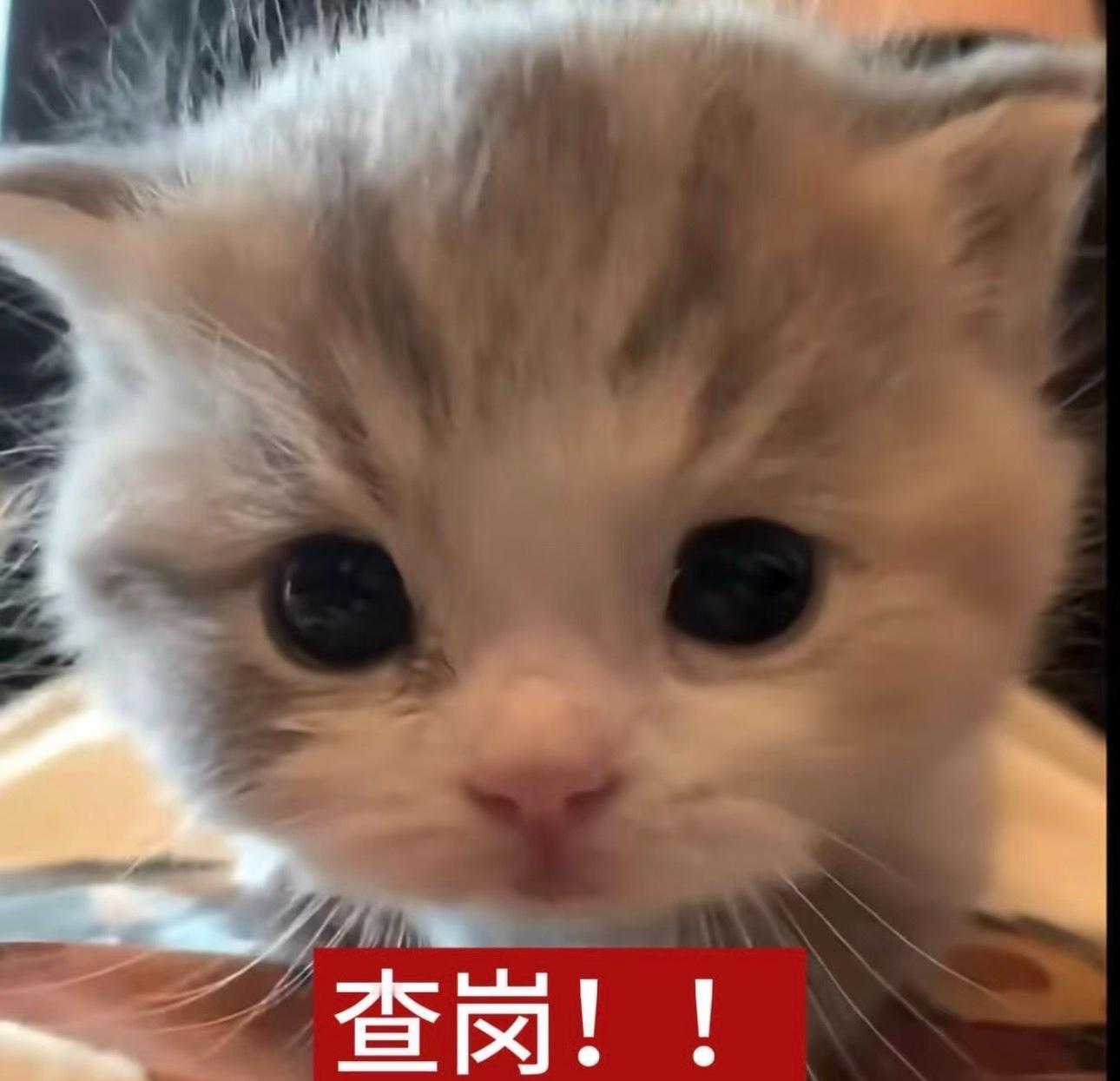 天空一声巨响，我带着今日任务闪亮登场😎1️⃣签到发帖超like先去王一博 签到