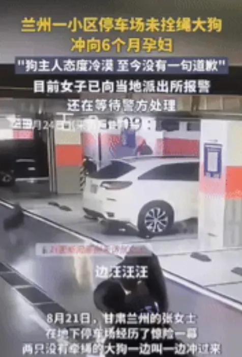 甘肃兰州，3女子在地下停车场走路，忽然一只贵宾犬窜出来，其中一名怀孕女子吓得脸色