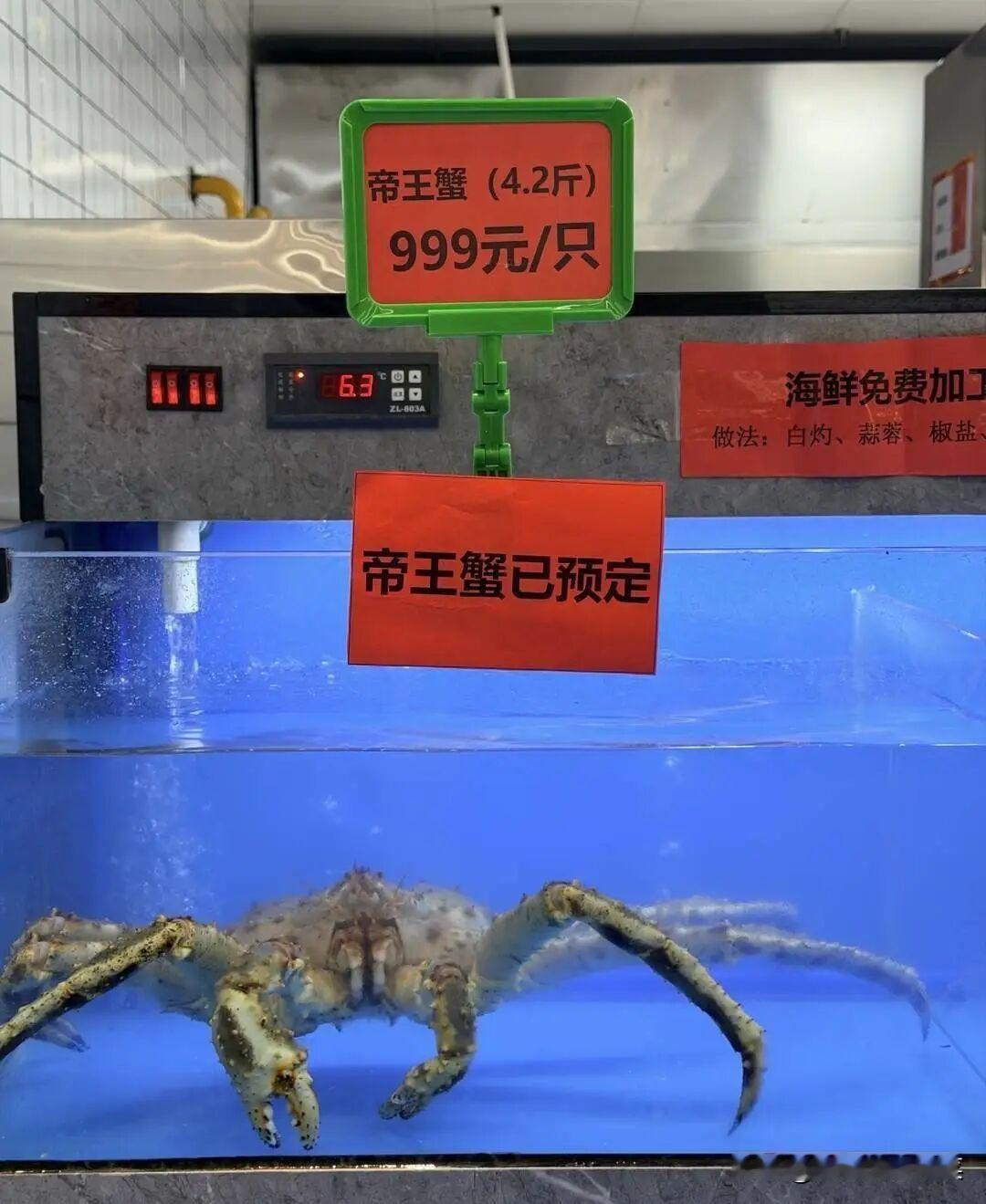 南京大学的学子真是幸福啊，食堂开卖鲜活帝王蟹999元每只4.2斤重，同时还有波士