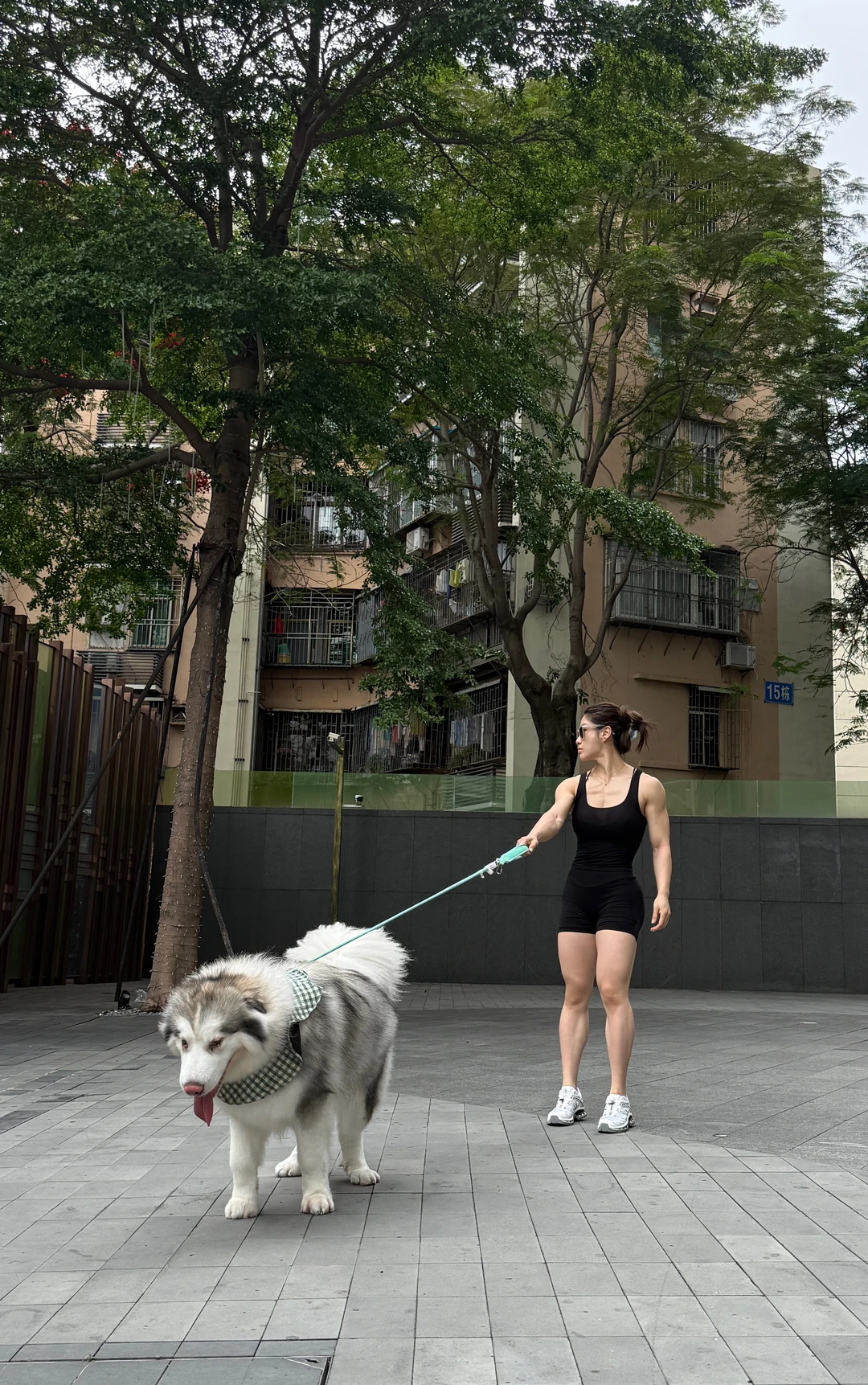 和狗狗一起 遛狗日记 带狗狗散步 日常遛狗 和狗狗拍照 和宠物一起