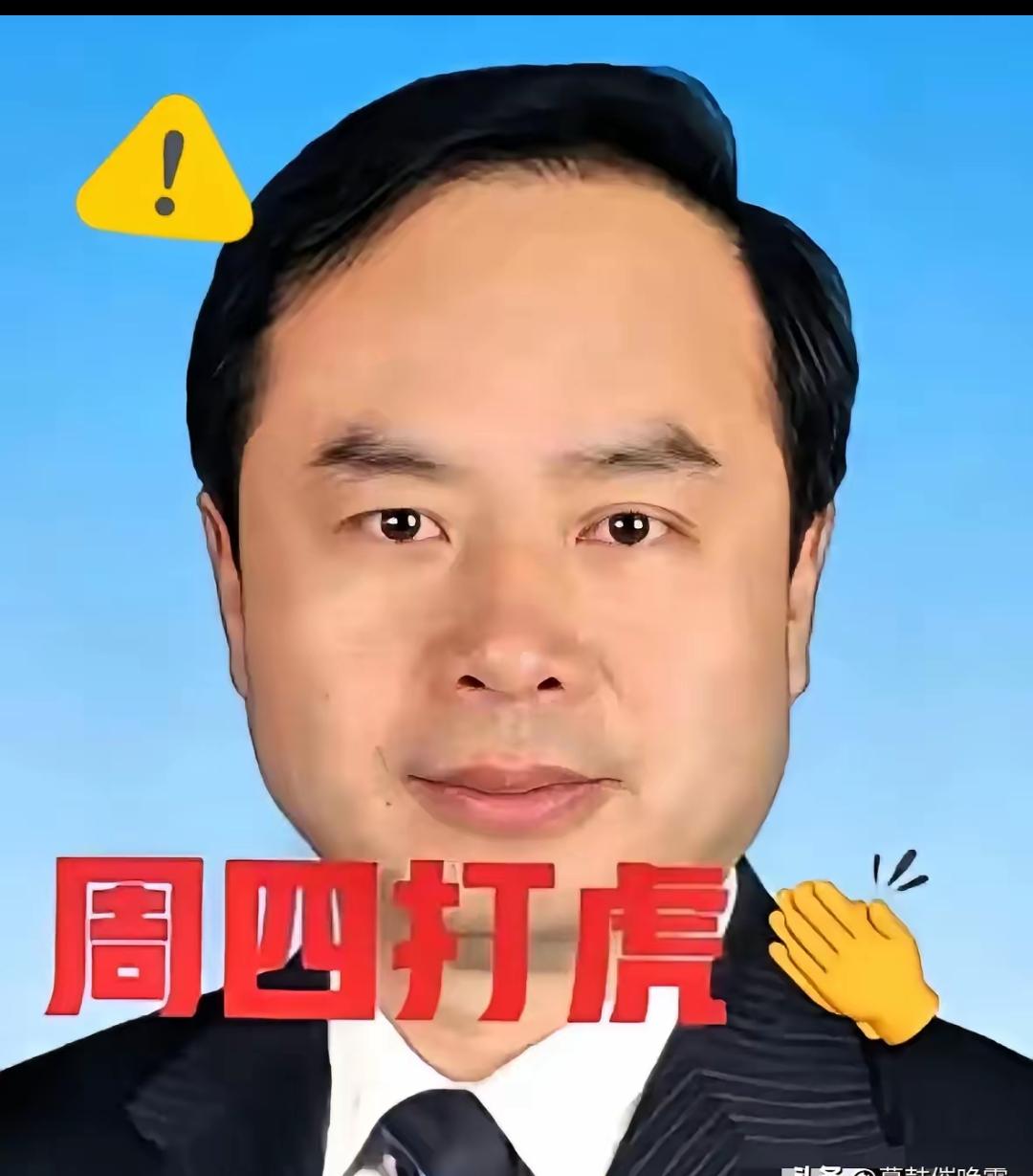 就在刚刚，又一位退休高官落马，彻底打破很多人的幻想！64岁王奇被查，履历亮眼到让