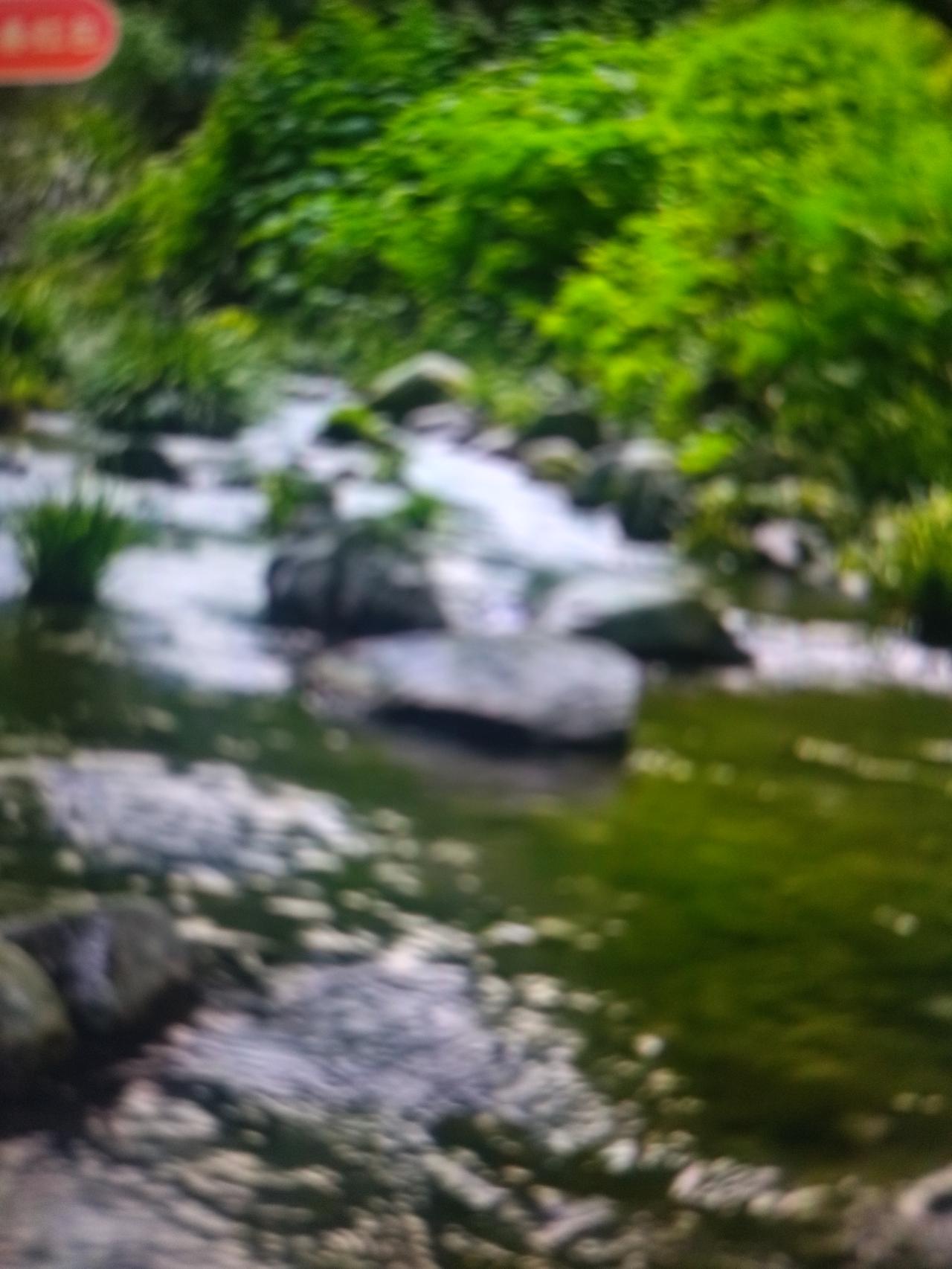 天南地北大拜年