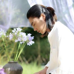 杨鼎龙