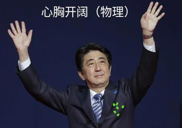 日媒称首相石破茂将辞职从后安倍时代的这些首相们可以得出一个结论：安倍这家伙真是有