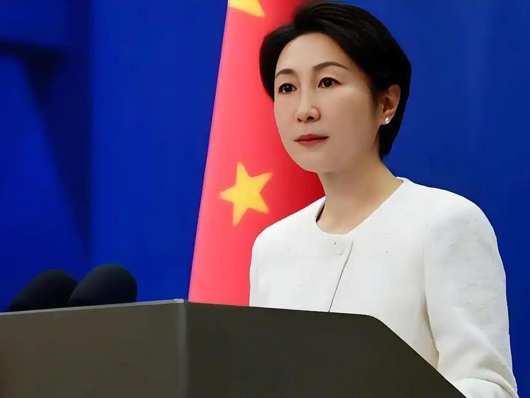 合作刚起步就掀风浪！中菲南海油气谈判取得积极进展，菲律宾却突然宣布重新命名中国南