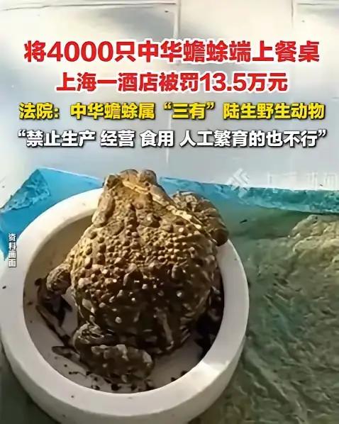 “聪明反被聪明误！”

有些人做生意，脑子转得比算盘还快，可惜快错了方向。上海一