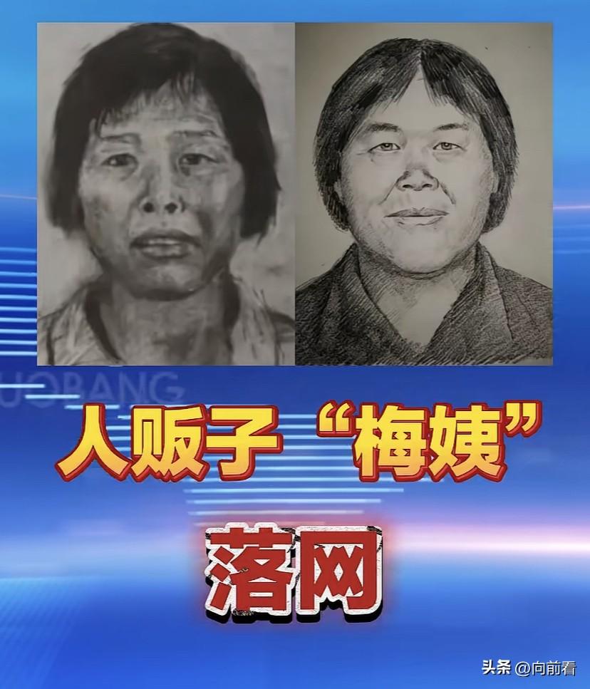 简直是大快人心，人贩子梅姨终于落网了，这个女人太可恨了！法网恢恢，疏而不漏，警察