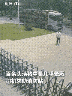 《烈火柔情，内外双调》

骄阳似火，暑气逼人。江苏徐州的柏油路被烤得发烫，一位货