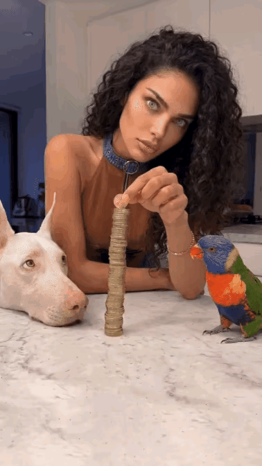 这都不倒？有这么稳吗