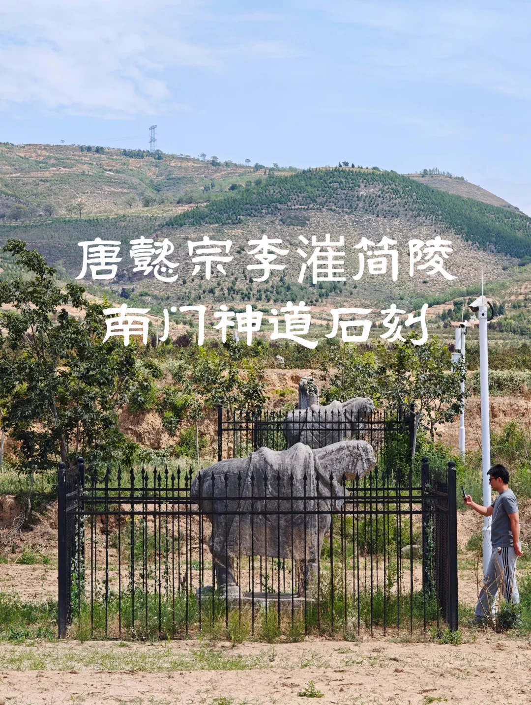 唐懿宗李漼简陵南门神道石刻