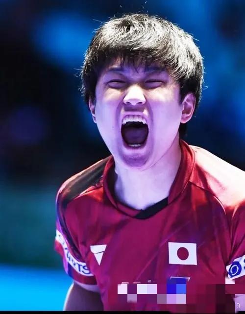 张本智和WTT比赛的嘶吼
     12月14日的WTT总决赛男单半决赛，日本选