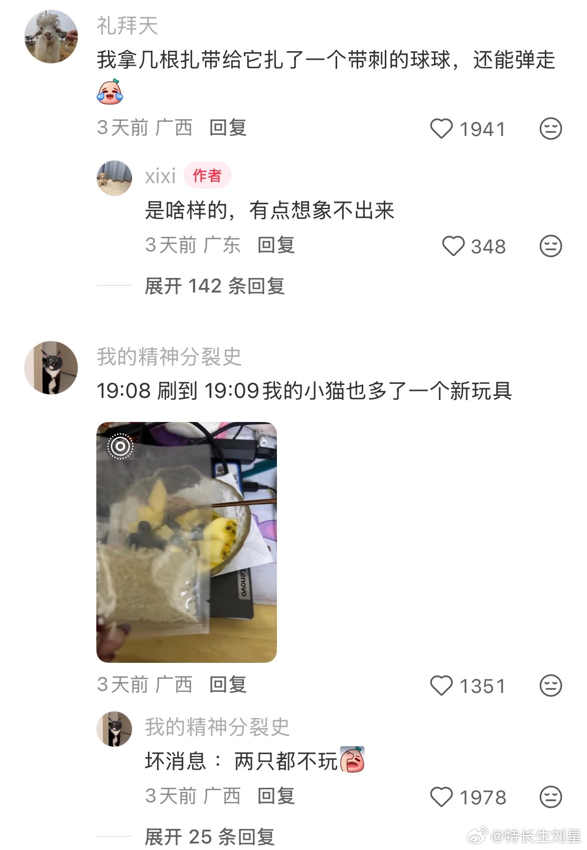 小猫爱玩的干燥剂替代品 