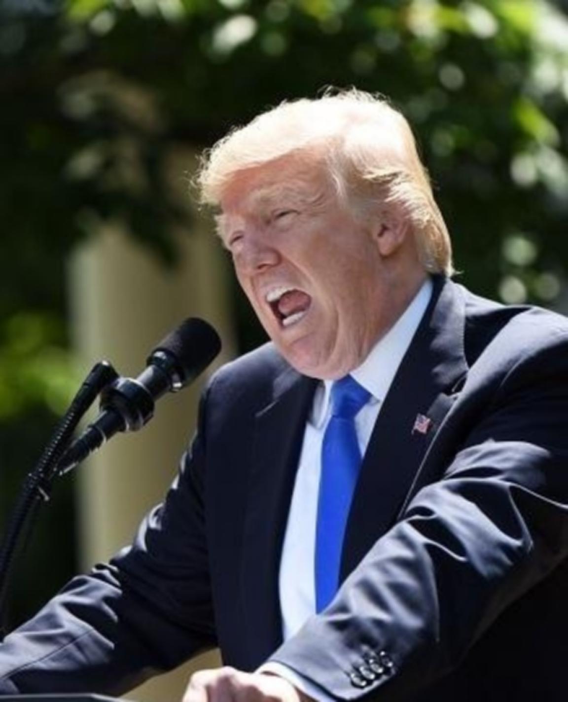 特朗普说了实话，二战胜利跟法国没什么关系，法国是最先投降的，我是真搞不懂，一个在