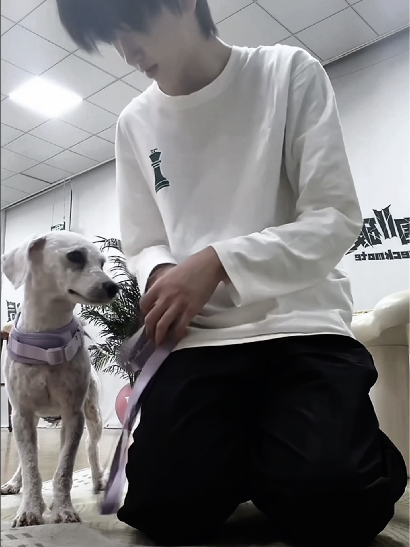 这个牵引绳太涩情了呀……… 