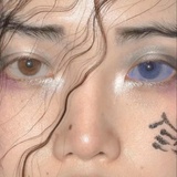 小白鹳爱聚体育