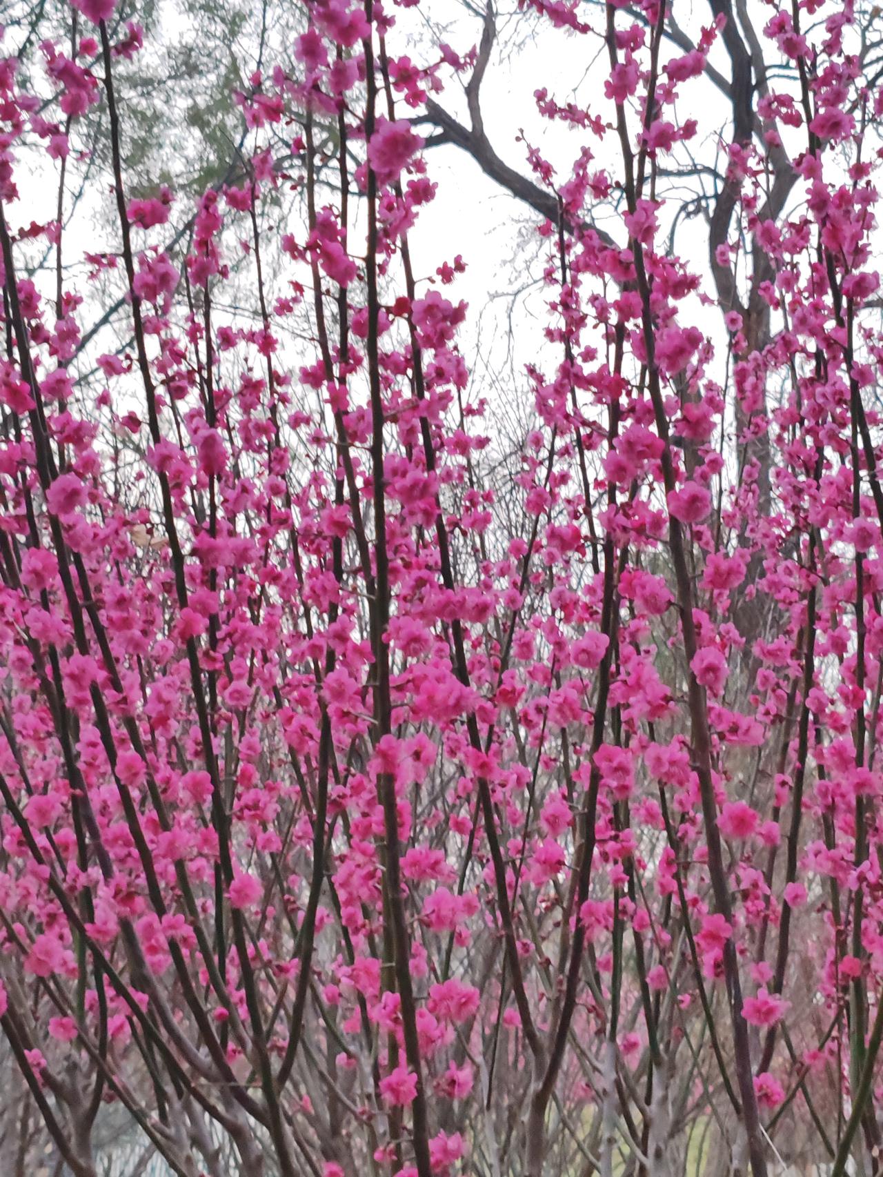 明智之举，退了休你就要把更多的时间精力留给自己。把更多时间精力留给自己，意味着可