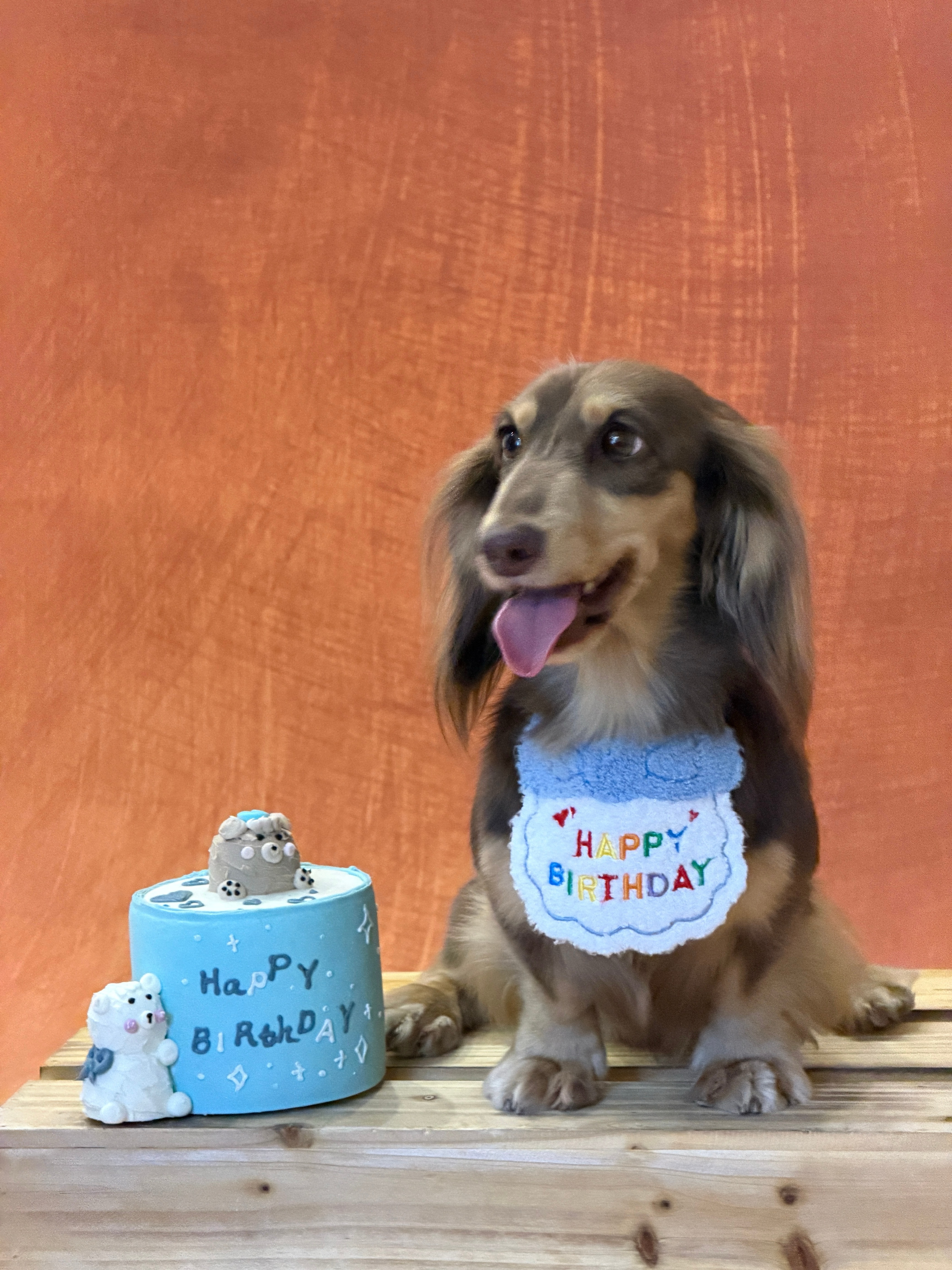 不知不觉虎子两岁了生日快乐🐶🎂 