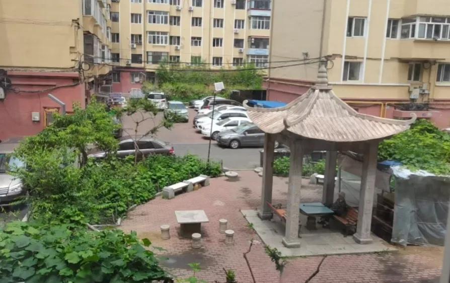 今年过年战友老陈儿子小聪今年40岁了，年夜饭桌上守着他安徽媳妇，跟他爸爸说，爸爸