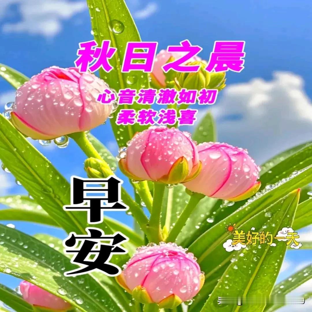 【秋】秋晨问候送吉祥，
【天】秋雨滳滴暖心房；
【快】秋风徐徐送芬芳，
【乐】秋