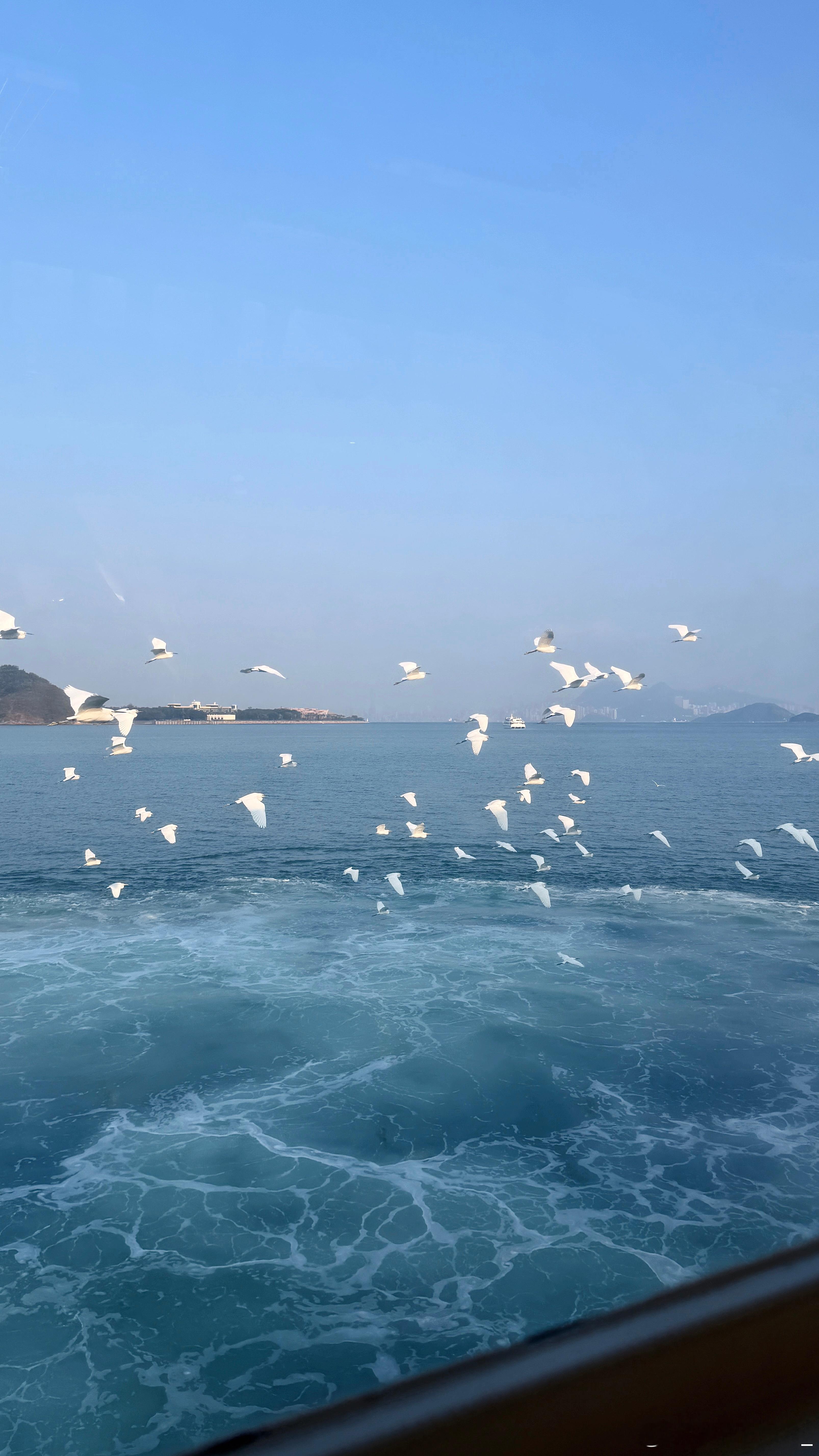 在喜欢的状态里生活 