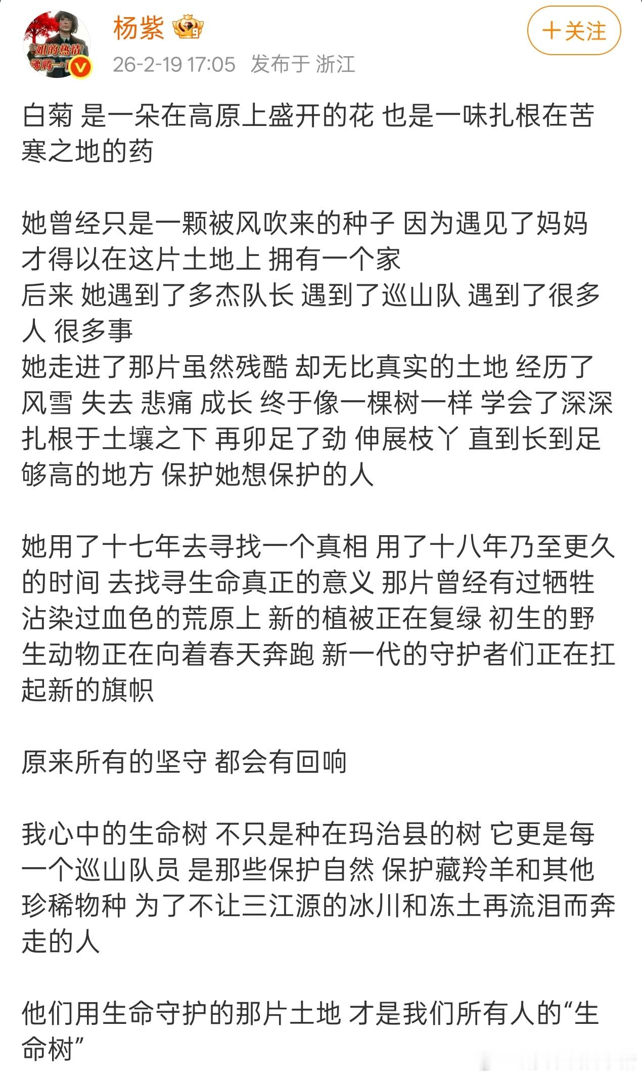 杨紫生命树收官发文 