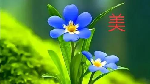前阵子在边境旅游，亲眼看到巡逻的战士踩着没过膝盖的积雪往山口走，手里攥着的国旗边
