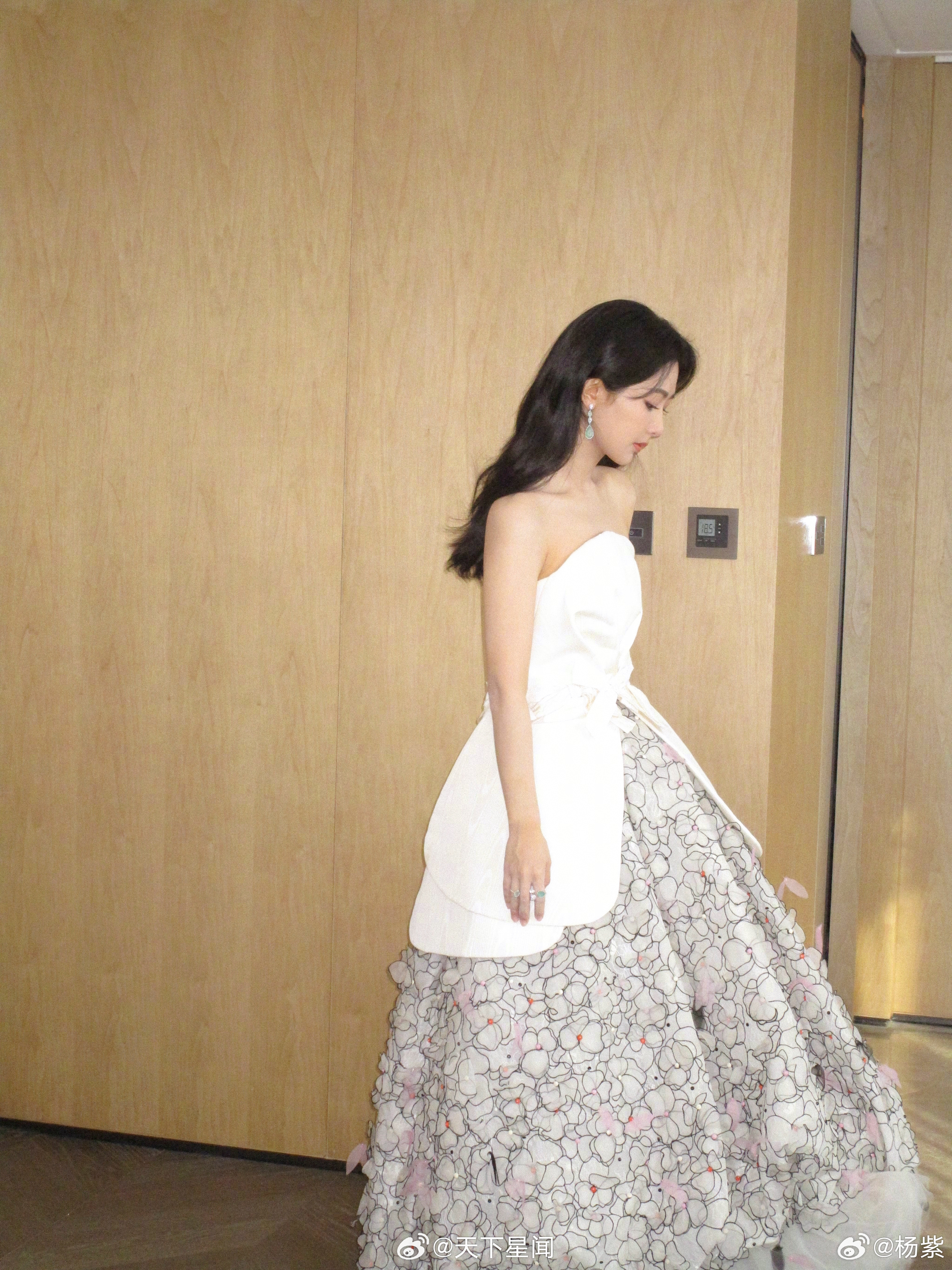 杨紫 