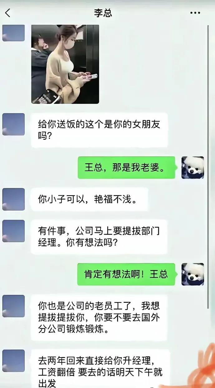 王总：小李啊，公司想提拔你，正好在南极开了个分公司，准备提拔你当分公司总经理，两