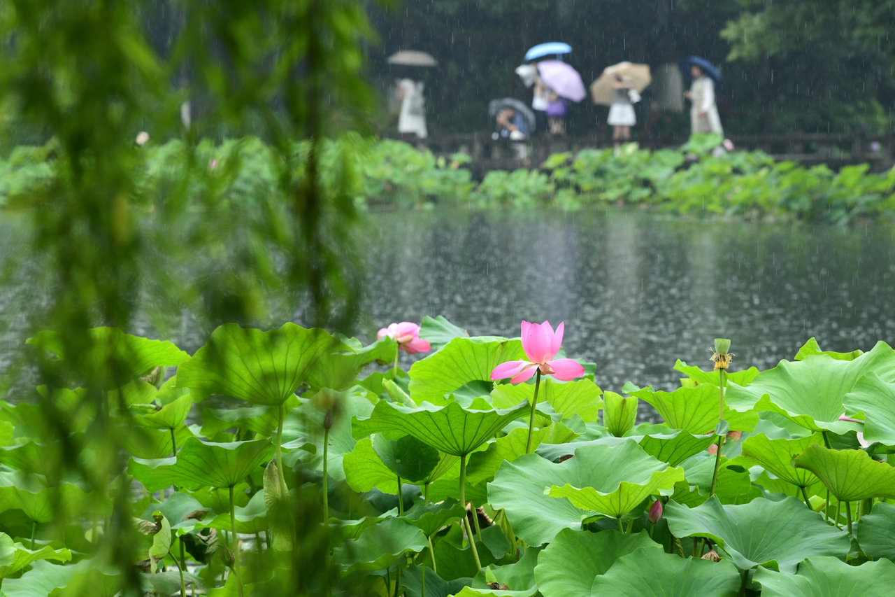 梅雨带持续发力，杭州今明仍有强降雨