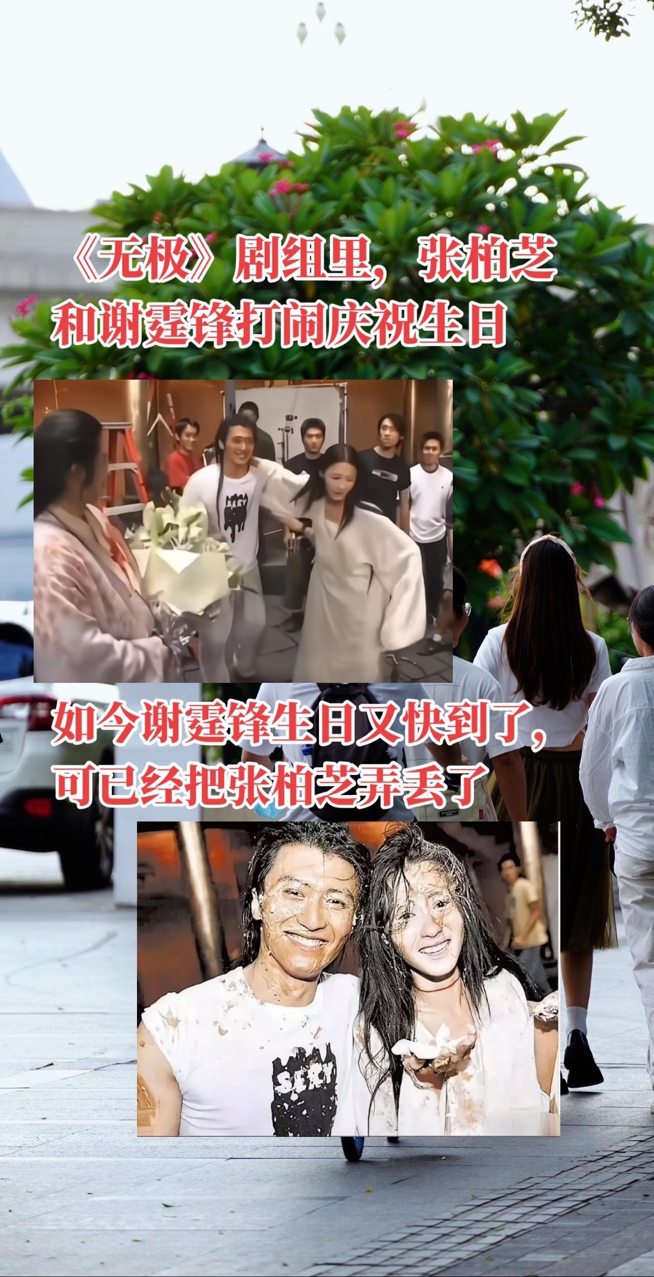 谢霆锋 张柏芝