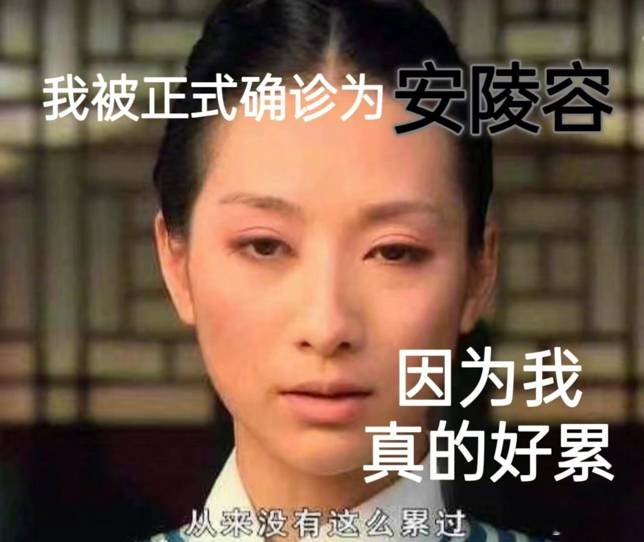 #过年前被确诊为安陵容# 最近的工作状态：坐立难安。最近的唯一念想：回家过年。最