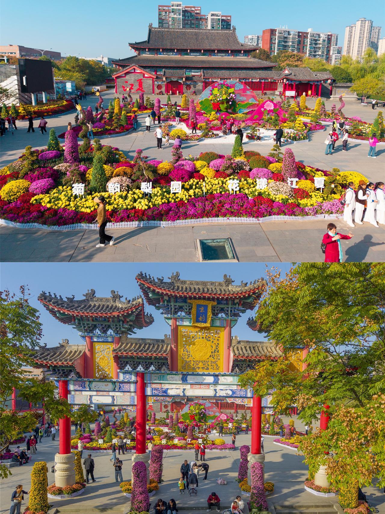 谁懂啊！武汉的秋天被这场菊花展焊在了巅峰！万余盆菊花 + 戏曲元素，逛展像闯进宫