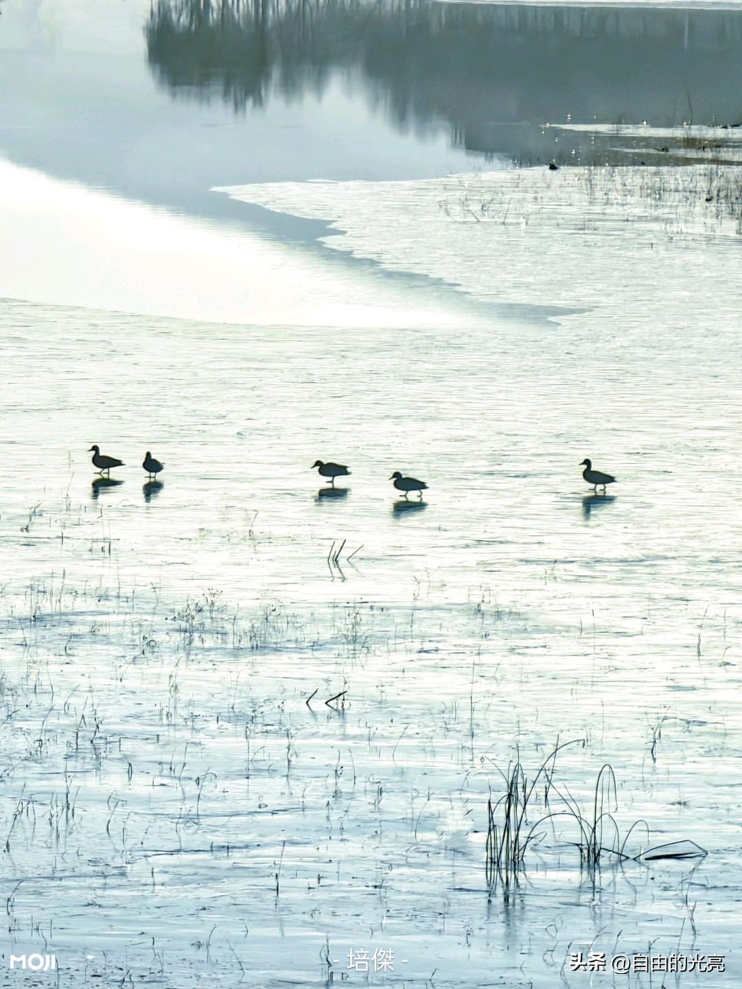 今天中午，我问邻居: 这些年，你家儿子一家都在外地打工，挣了不少钱吧？

邻居答