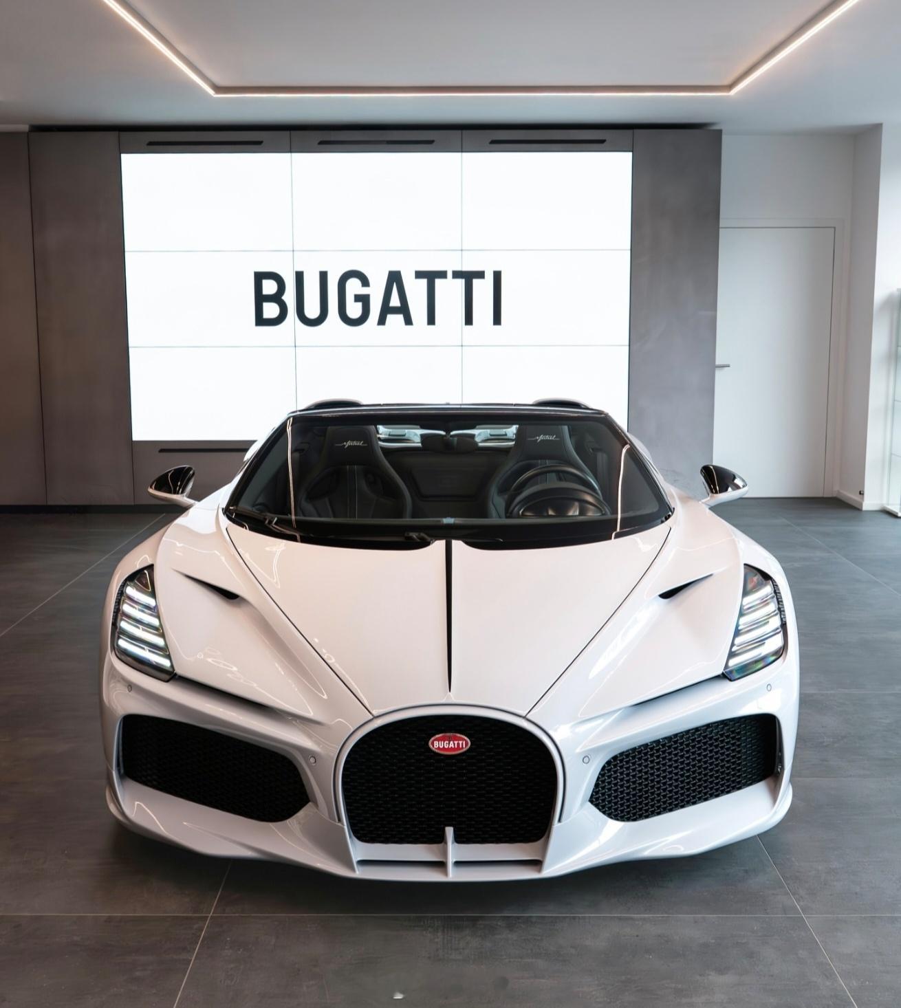 跑车从布加迪MISTRAL的X形尾灯设计到全碳纤维发动机盖，无一不体现布加迪W1