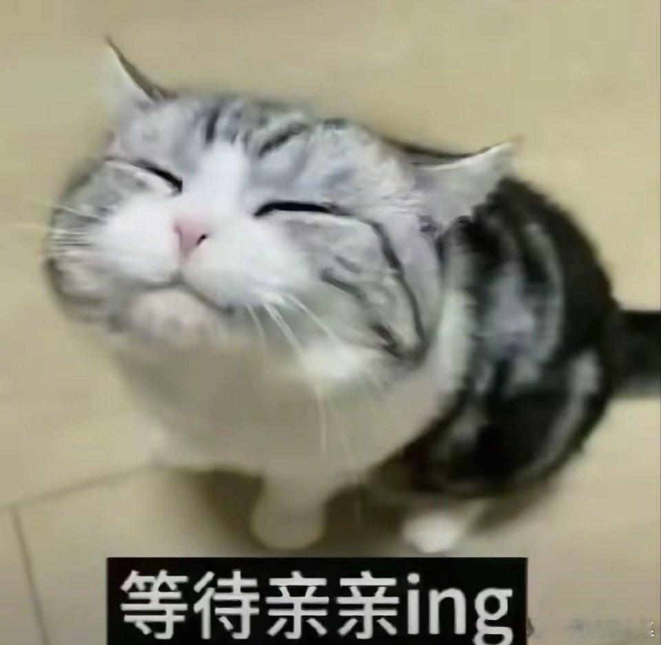 路过的来亲亲😘 ​​​