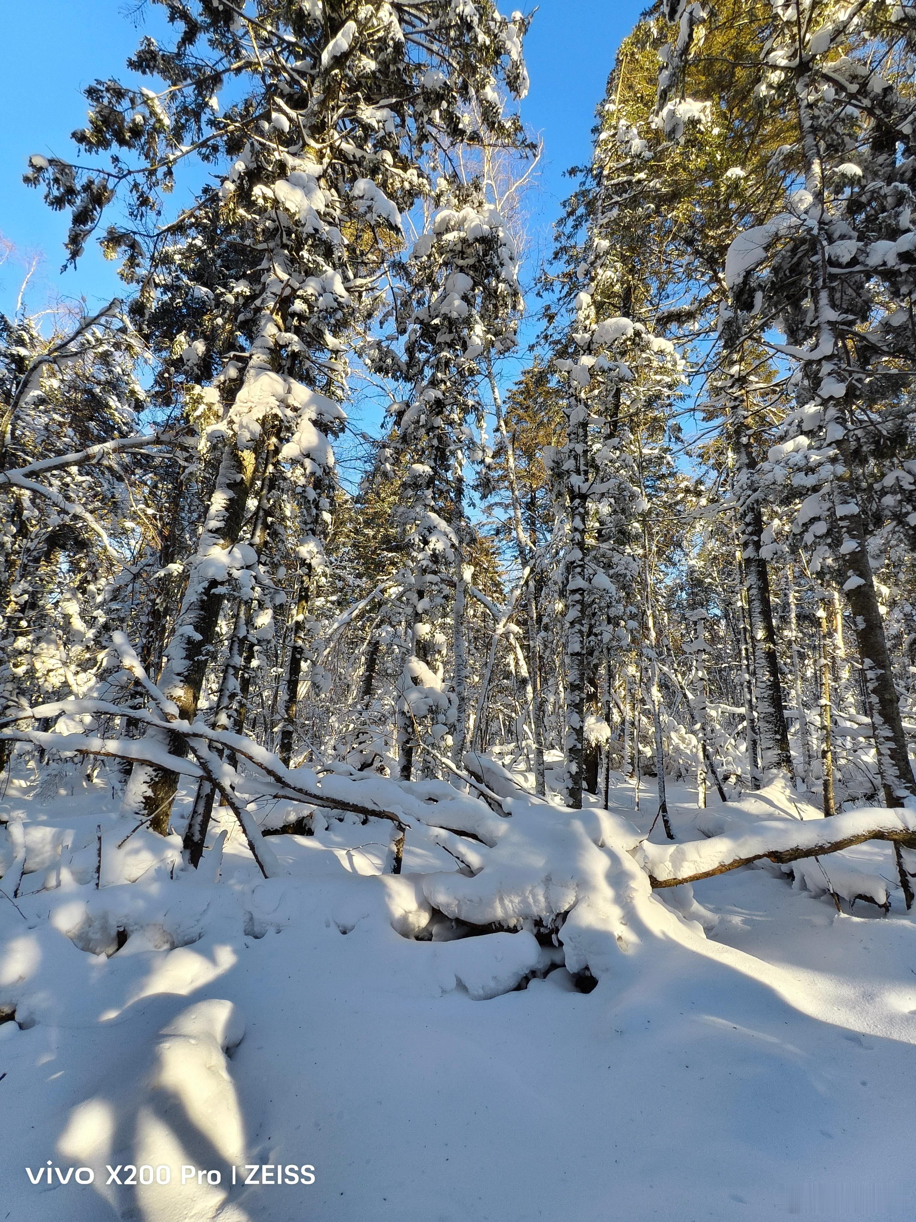 吉林延吉雪岭，开启一场冰雪奇缘。午后坐着刺激的雪地摩托上山，寒风呼啸，短短几分钟