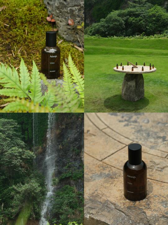 Aesop杭州新展｜陷入薇绿的夏日梦境