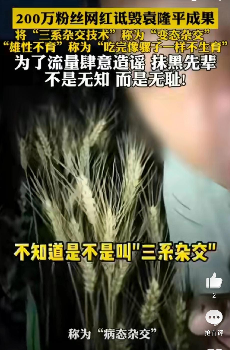 谁让袁隆平袁老死不瞑目！
谁都没有想到，已经去世多年的水稻之父袁隆平，会在他去世