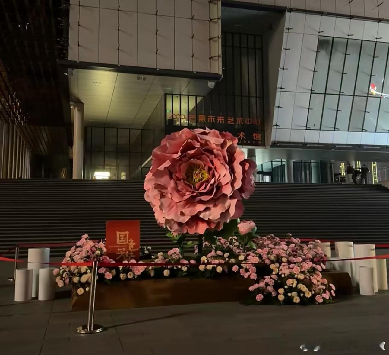 国色芳华播出排面  杨紫李现录制好六  杨紫李现现身《你好，星期六》，为《国色芳